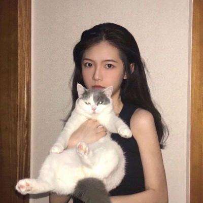 莽荒传奇果盘版下载